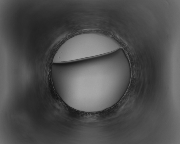 X0000088141351200705141023