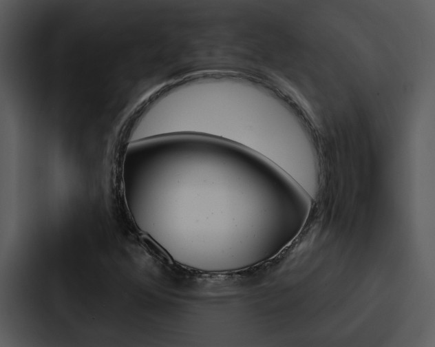 X0000088141352200705141023