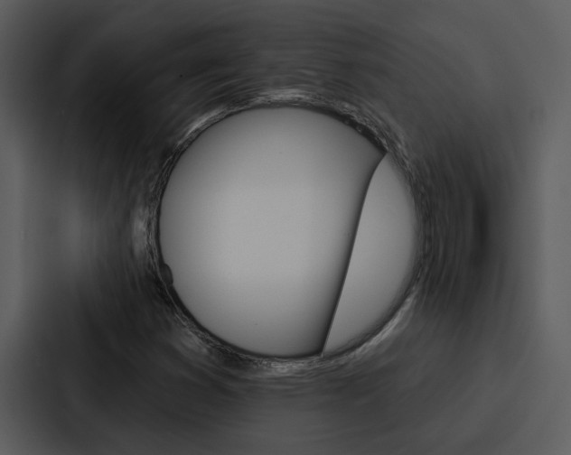 X0000088141353200705141023