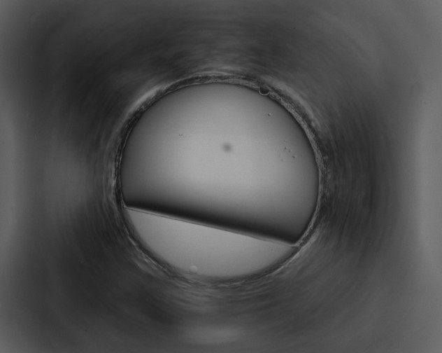 X0000088141355200705141023