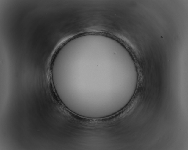X0000088141358200705141023