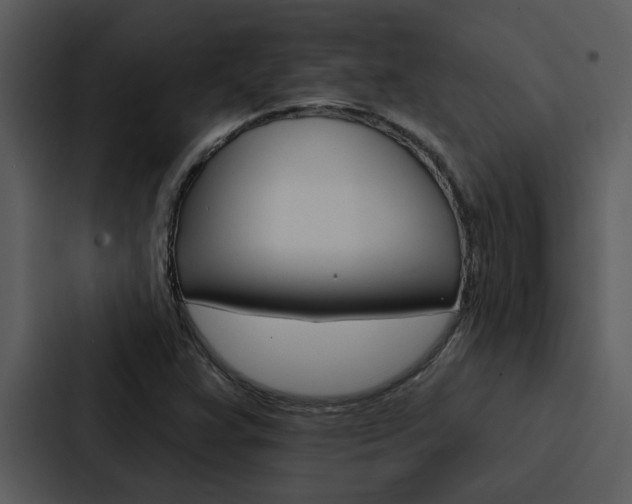 X0000088141359200705141023