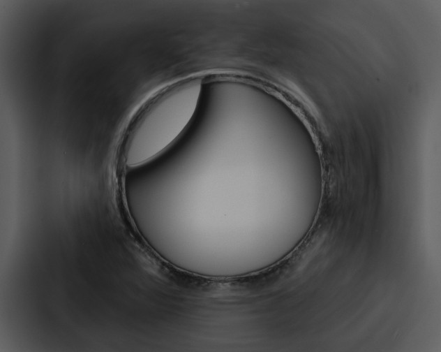 X0000088141360200705141023