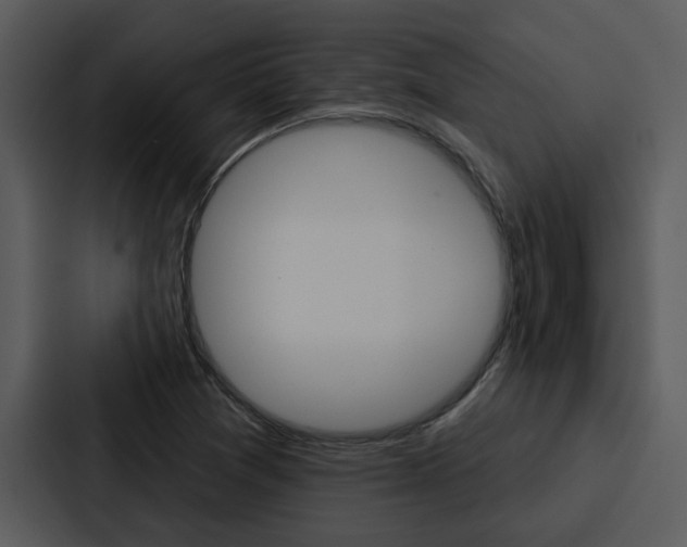 X0000088141361200705141023
