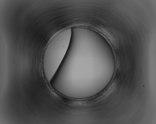X0000088141369200705141023