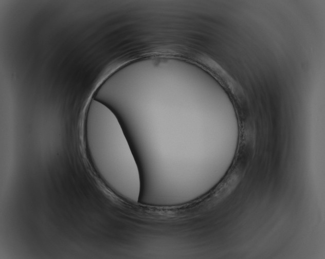 X0000088141370200705141023