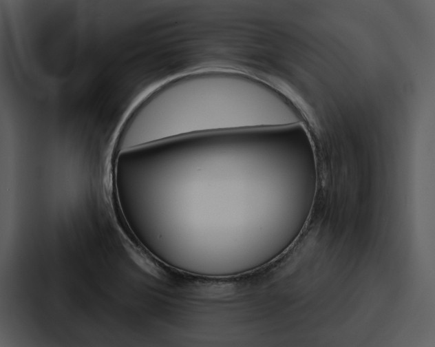 X0000088141372200705141023