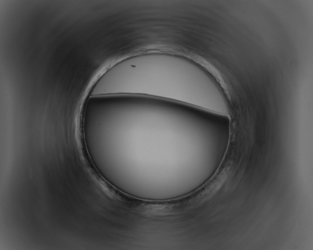 X0000088141373200705141023