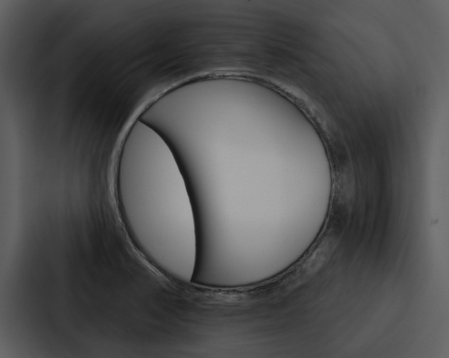 X0000088141374200705141023