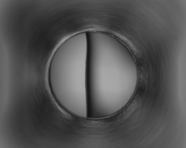 X0000088141375200705141023