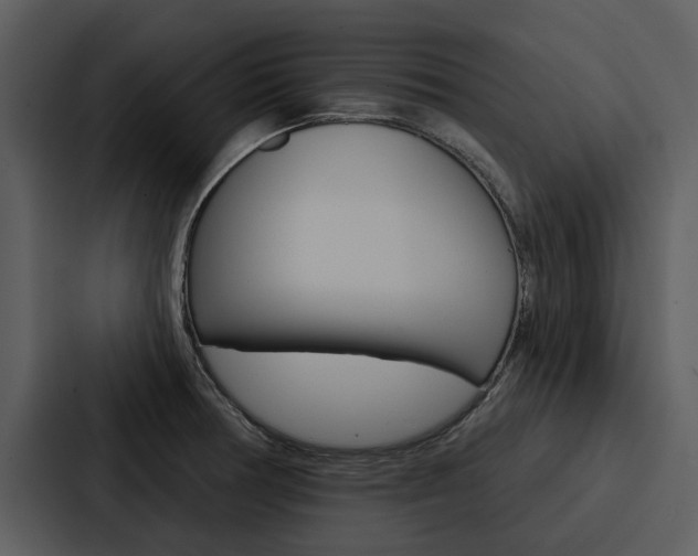 X0000088141378200705141023
