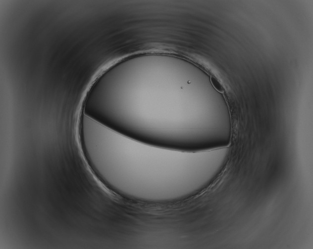X0000088141379200705141023