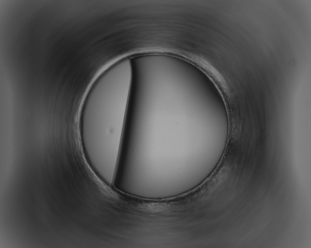 X0000088141380200705141023