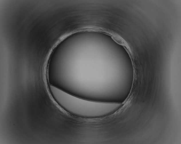 X0000088141381200705141023