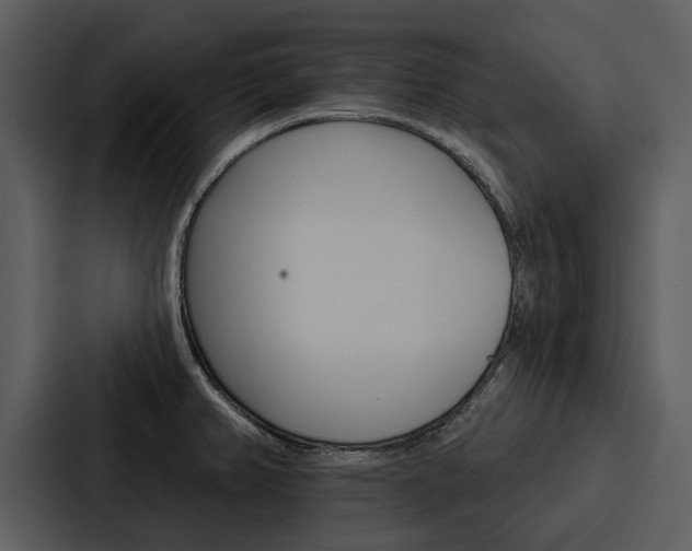 X0000088141382200705141023