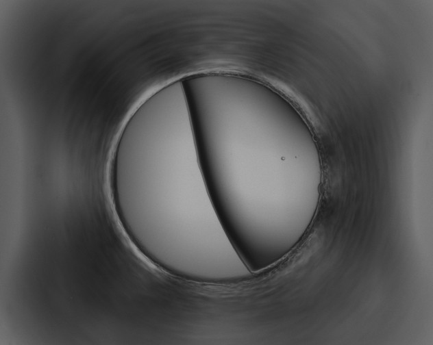 X0000088141383200705141023