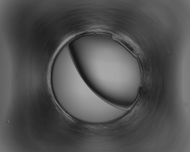 X0000088141384200705141023