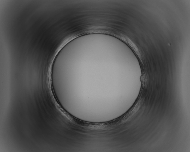 X0000088141386200705141023