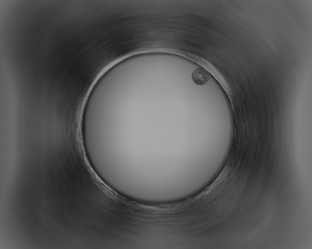 X0000088141388200705141023