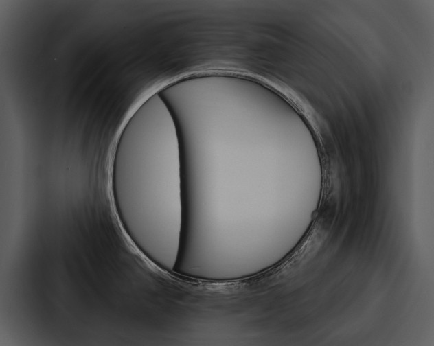 X0000088141390200705141023