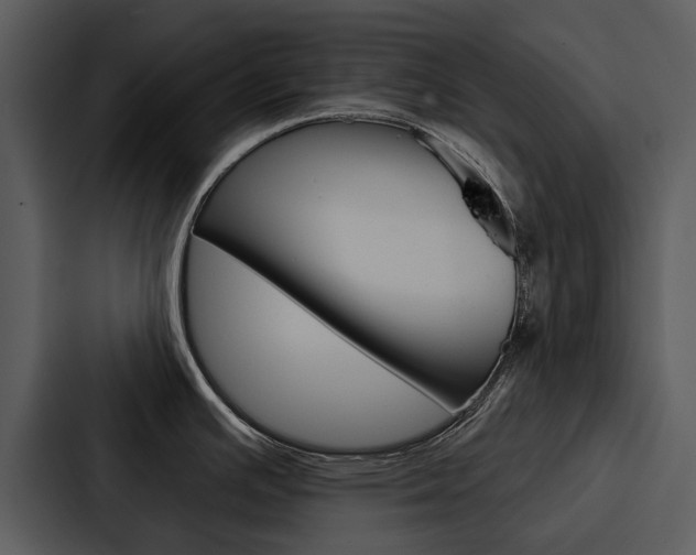 X0000088141391200705141023