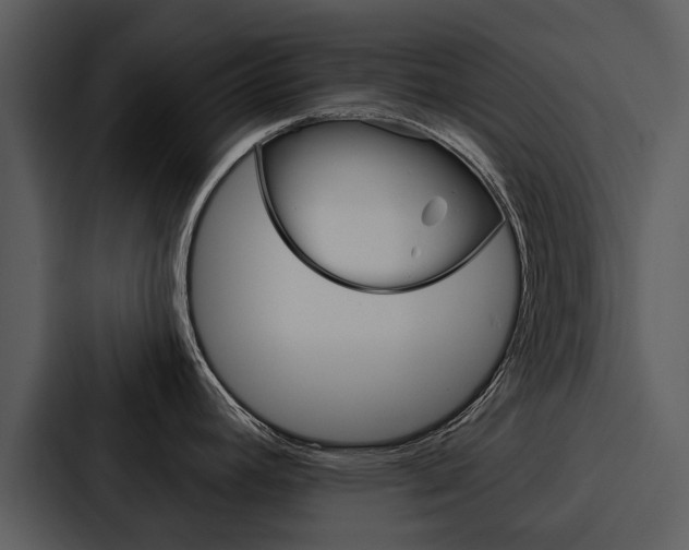 X0000088141392200705141023