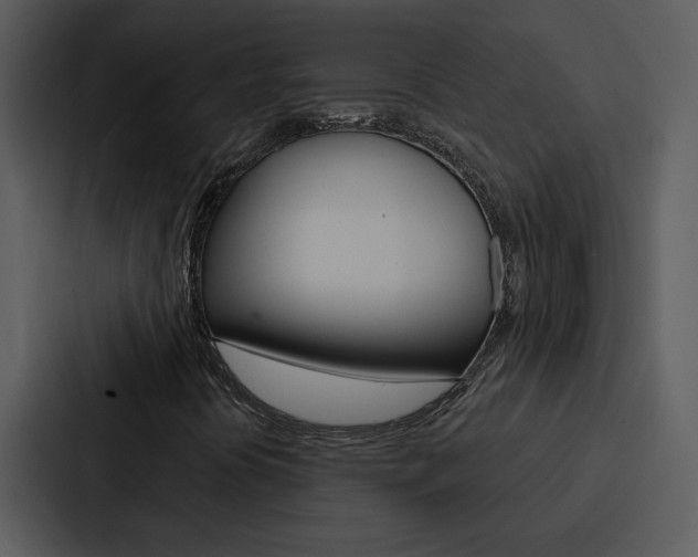 X0000088141394200705141022