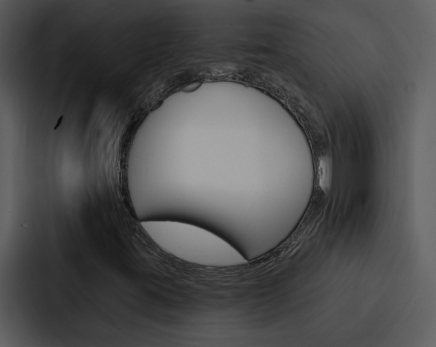 X0000088141395200705141022