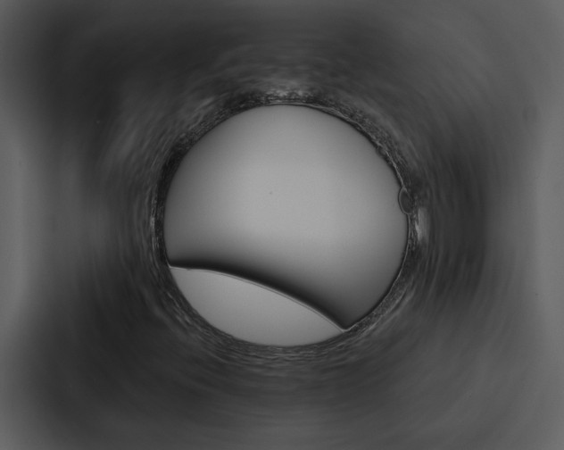X0000088141396200705141022