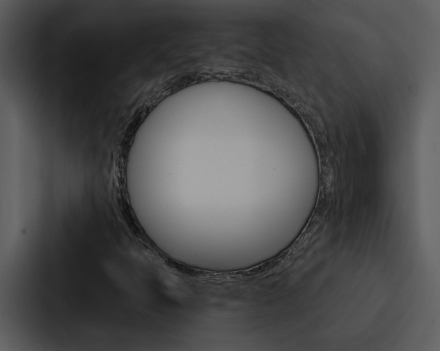 X0000088141397200705141022