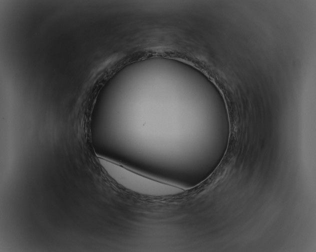 X0000088141398200705141022