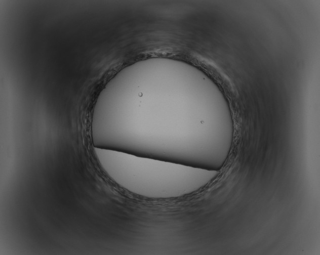 X0000088141399200705141022