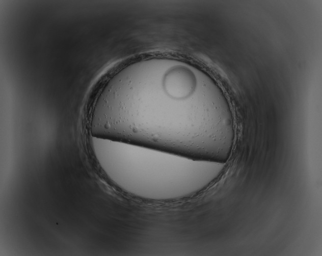 X0000088141400200705141022
