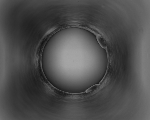 X0000088141402200705141022