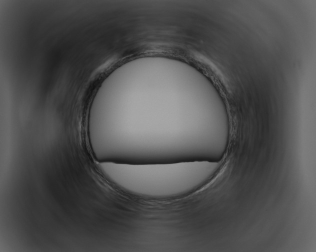 X0000088141403200705141022