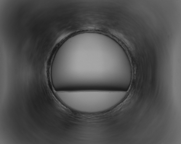 X0000088141404200705141022