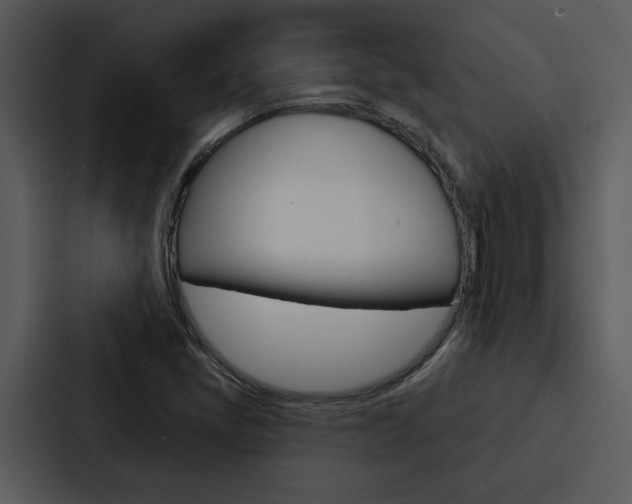 X0000088141405200705141022