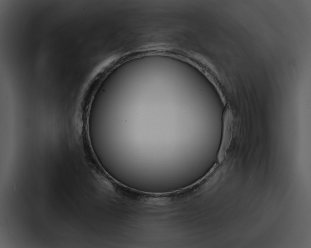 X0000088141406200705141022