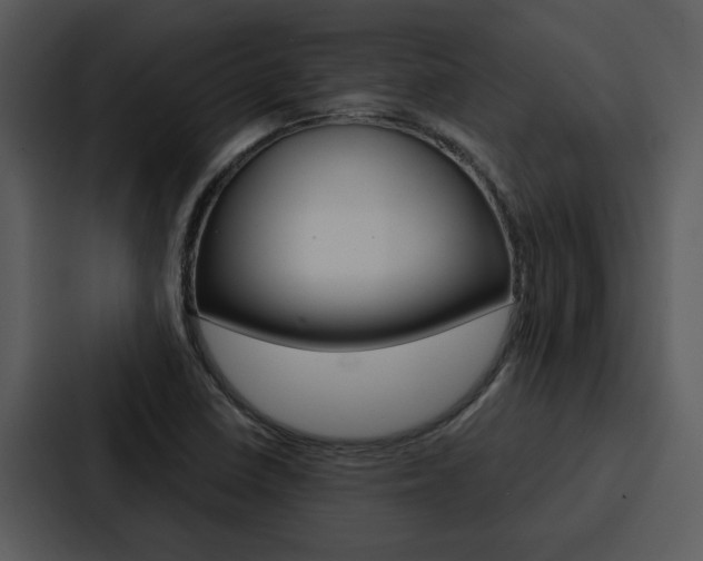 X0000088141410200705141022