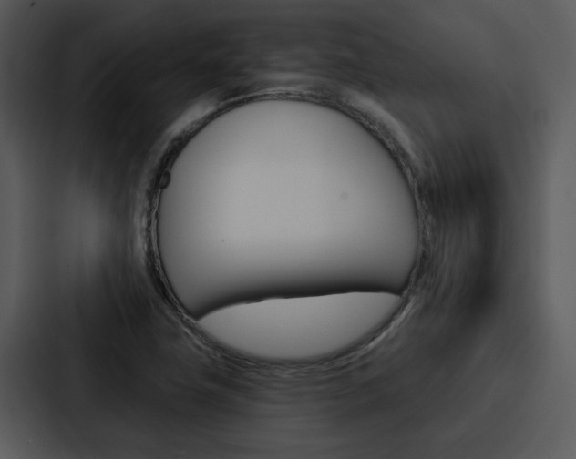 X0000088141411200705141022