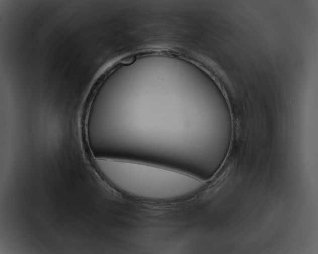 X0000088141412200705141022