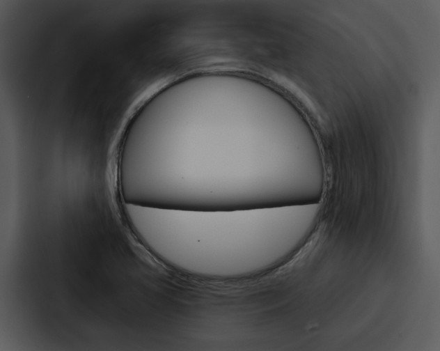X0000088141413200705141022