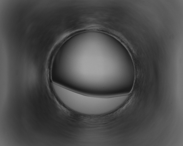 X0000088141414200705141022