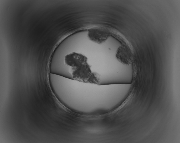 X0000088141417200705141022
