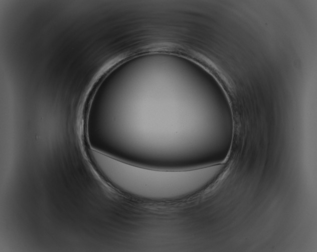 X0000088141418200705141022