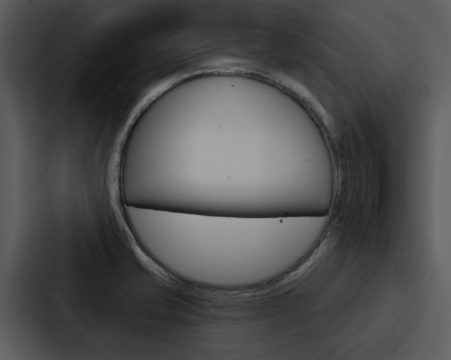 X0000088141421200705141023