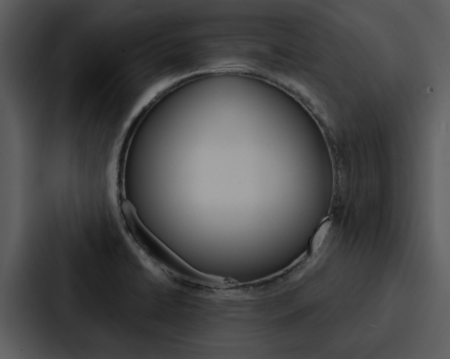 X0000088141422200705141023