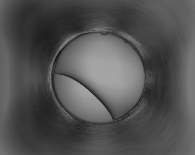 X0000088141423200705141023