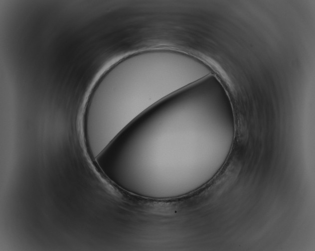X0000088141424200705141023