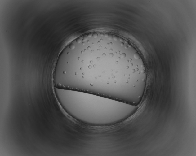 X0000088141425200705141023